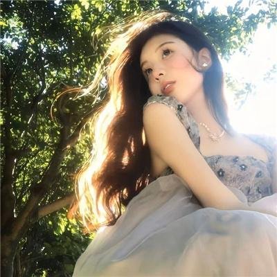 天网狼蛛